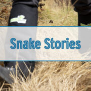 Snake Stories | Article Image Update 2022
